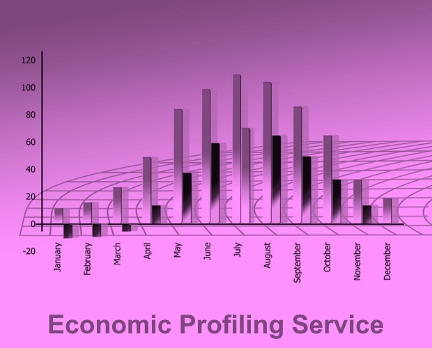 RSN Economic Profiling Service - Summer 2016